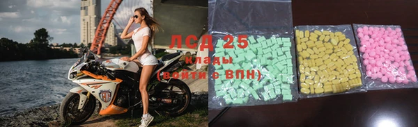крисы Абаза
