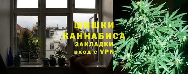 ГАЛЛЮЦИНОГЕННЫЕ ГРИБЫ Новозыбков