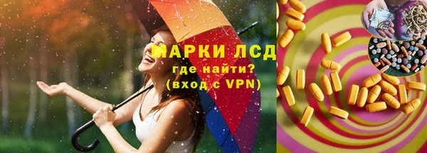 крисы Абаза